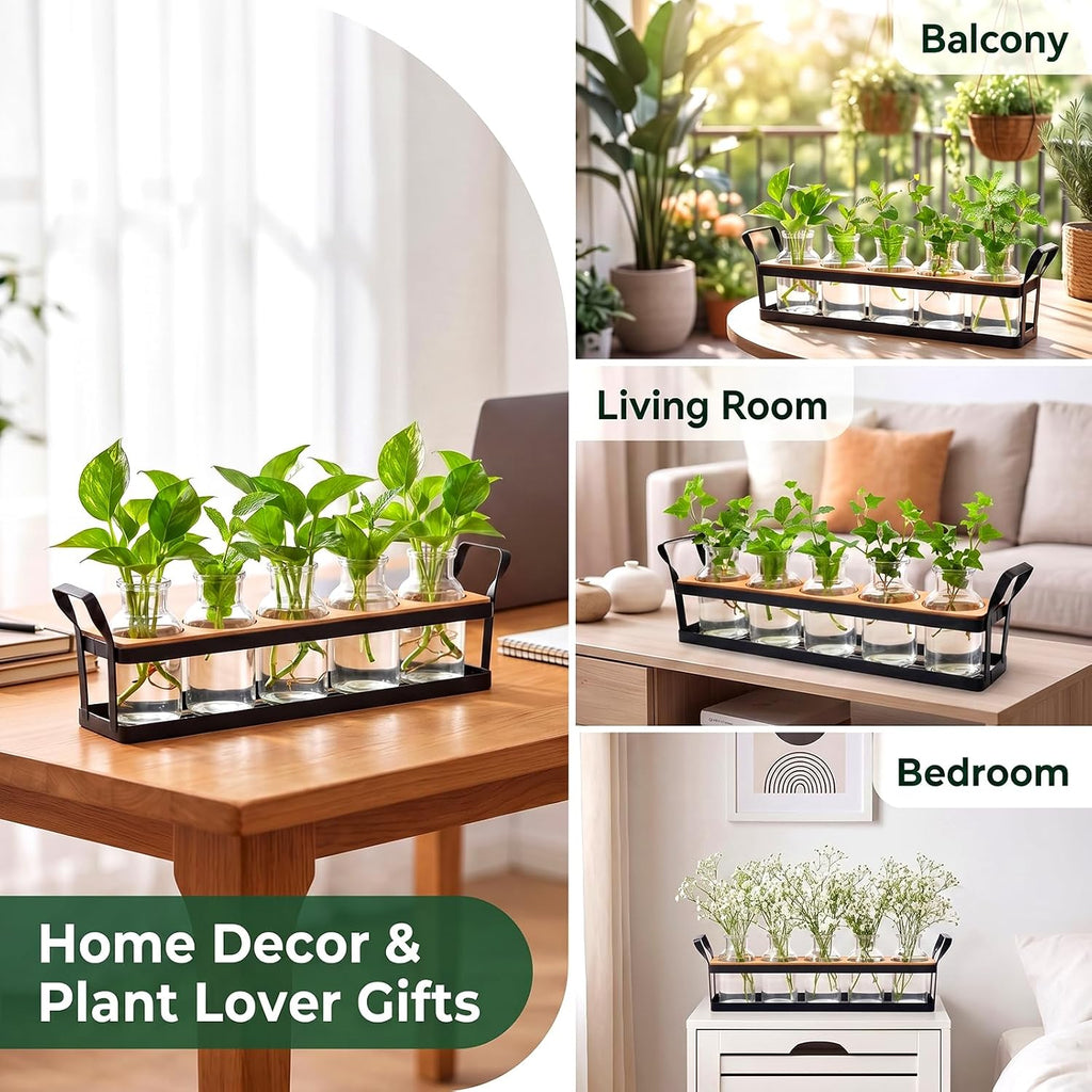 Salzesfalls Propagation Stations with Metal Stand, Tabletop Plant Terrarium | Plant Propagation Station & Vases,Table