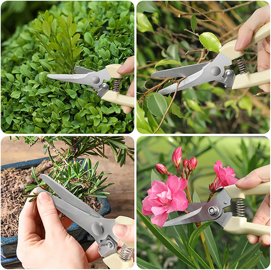 6PCS Premium garden shears, pruning scissors gardening tools, pruners for flower, bushes, rose and fruit tree, use for