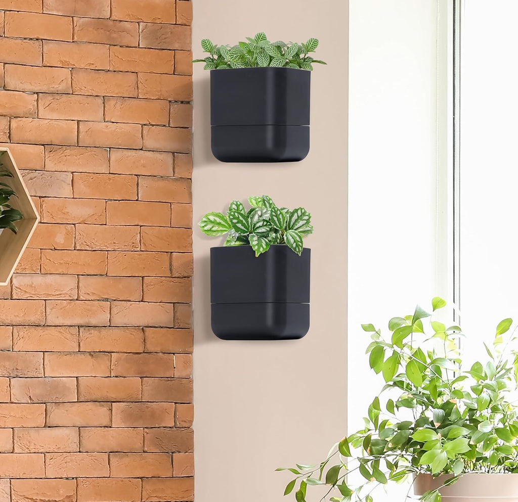 Phoenix Vine 6.5 Inch Wall Mounted Self-Watering Planter Pot for Indoor Houseplants and Herbs | Hanging Planter for