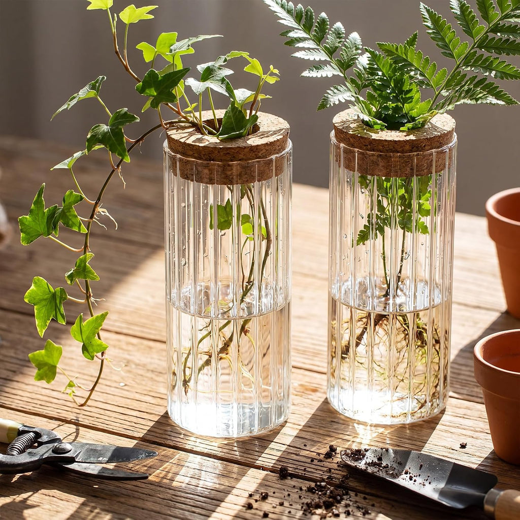 6 Set Propagation Station Jar Desktop Glass Planter Station Flower Vases Water Terrarium Jar with Cork Lid for