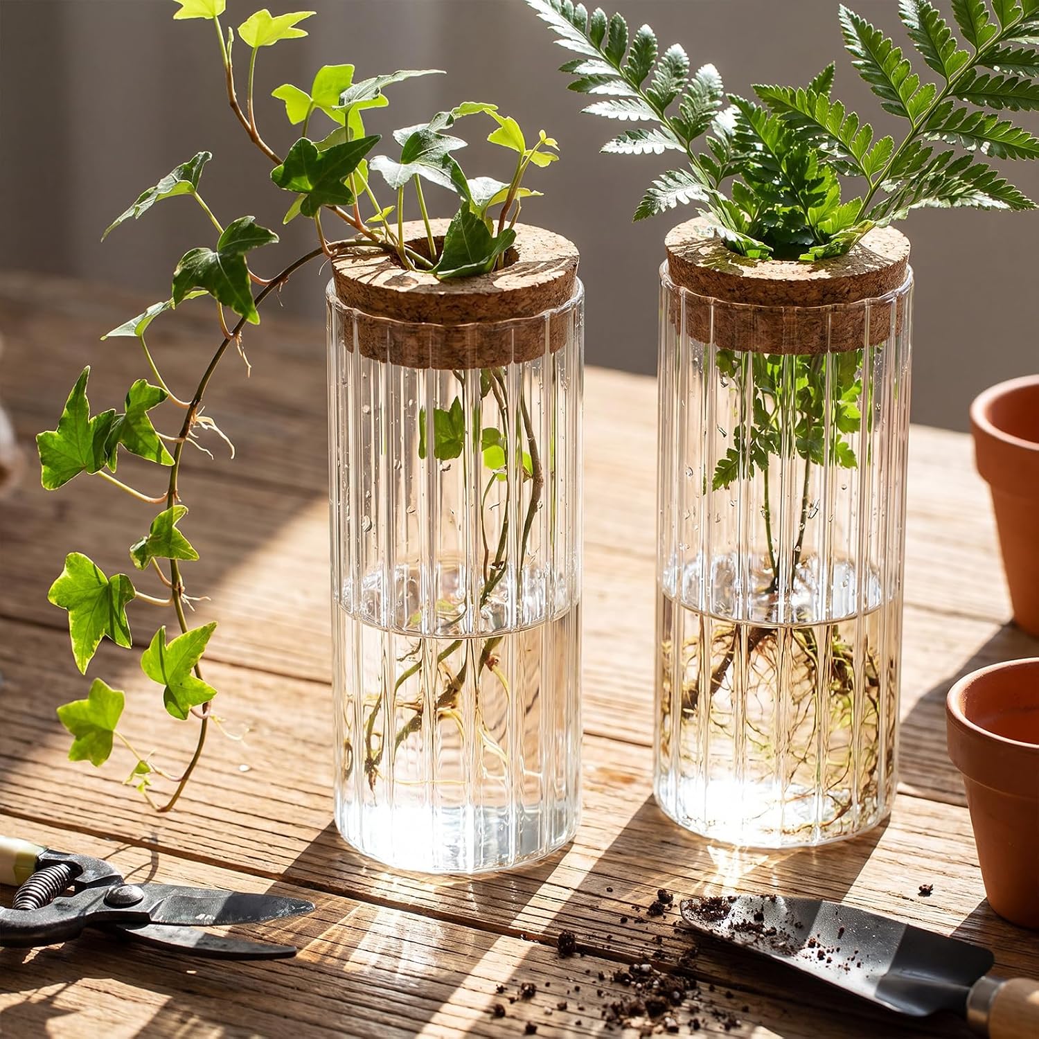 6 Set Propagation Station Jar Desktop Glass Planter Station Flower Vases Water Terrarium Jar with Cork Lid for