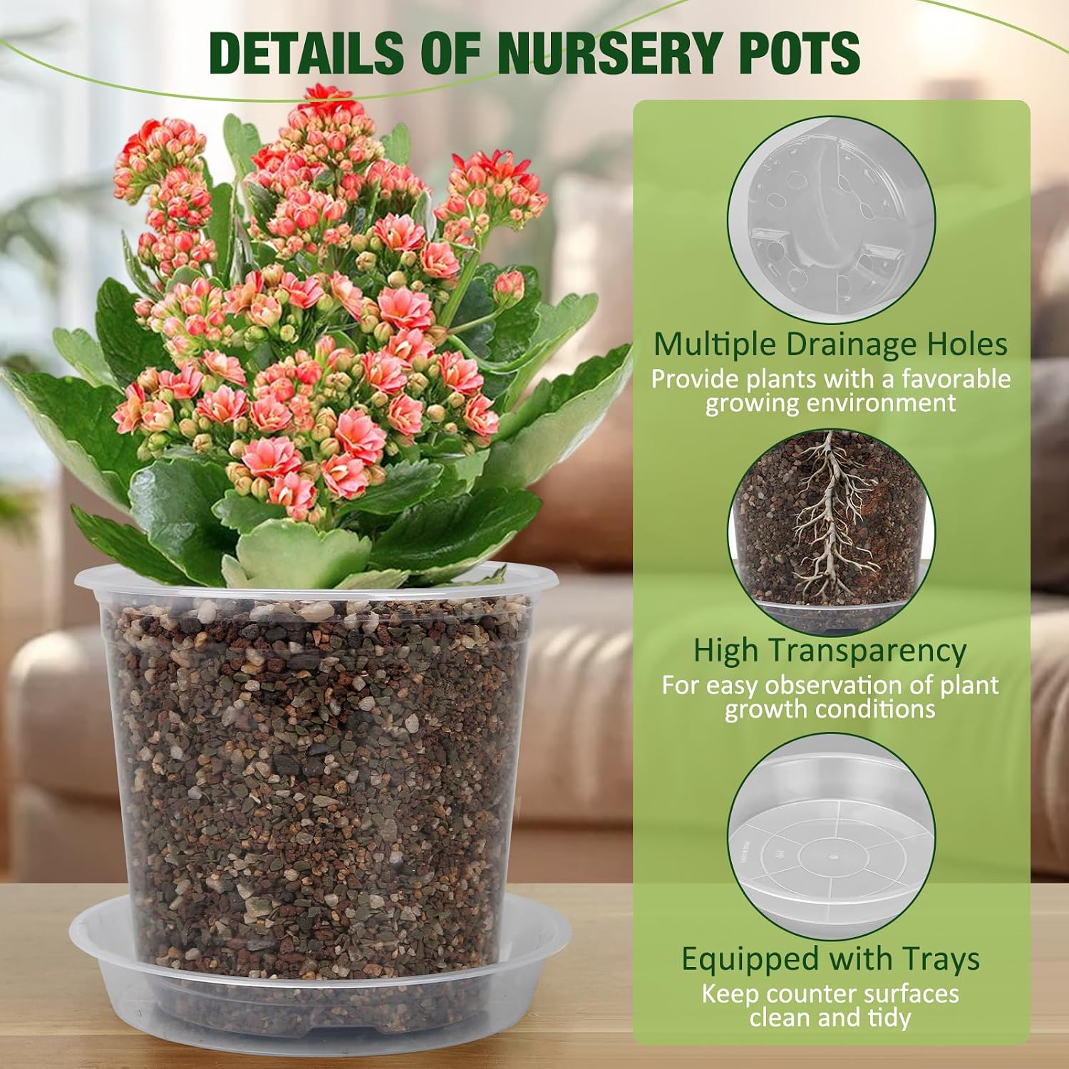 10/8/6/4 Inch Clear Nursery Pots with Drainage Holes and Saucers, 12 Pack Large Clear Pots for Plants Variety Pack