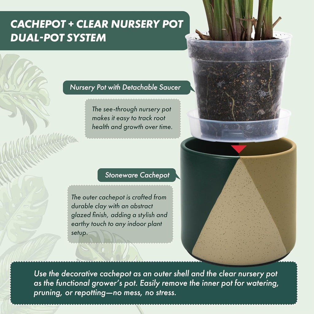 D'vine Dev Cachepot, Clear Pot & Saucer, 6.5 in, Desert Forest, 93-O-C-1 | Dual-Pot System, Root Visibility, Bottom