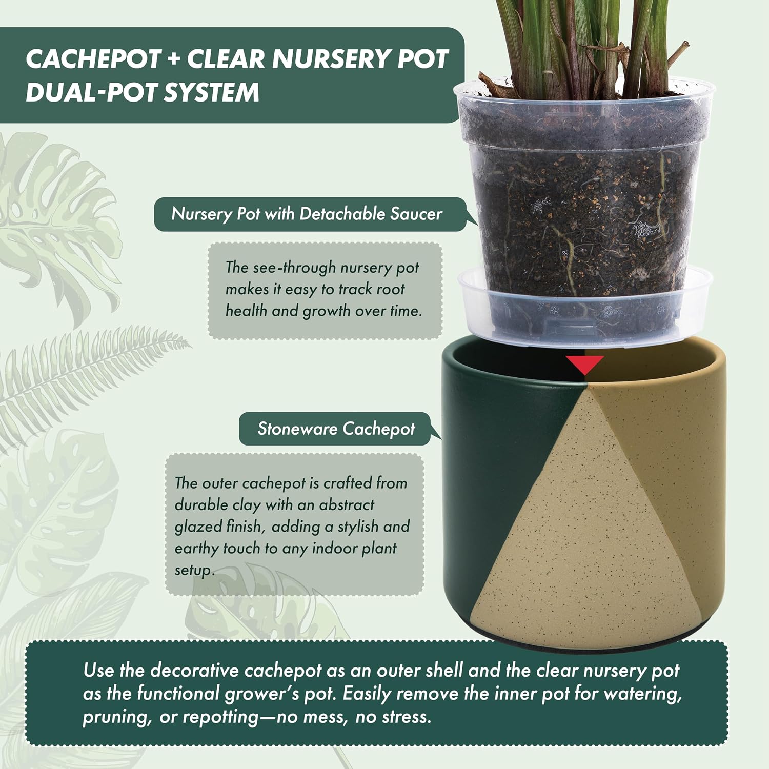 D'vine Dev Cachepot, Clear Pot & Saucer, 6.5 in, Desert Forest, 93-O-C-1 | Dual-Pot System, Root Visibility, Bottom