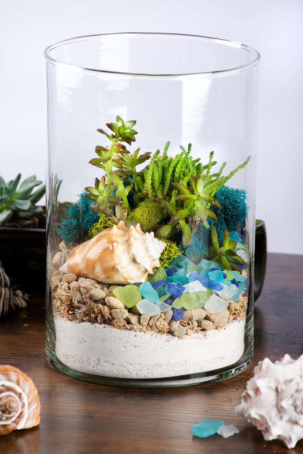 SuperMoss (90420) Beach Terrarium DIY Kit – Create Stunning Nature-Inspired Mini Gardens – Perfect for Home Decor