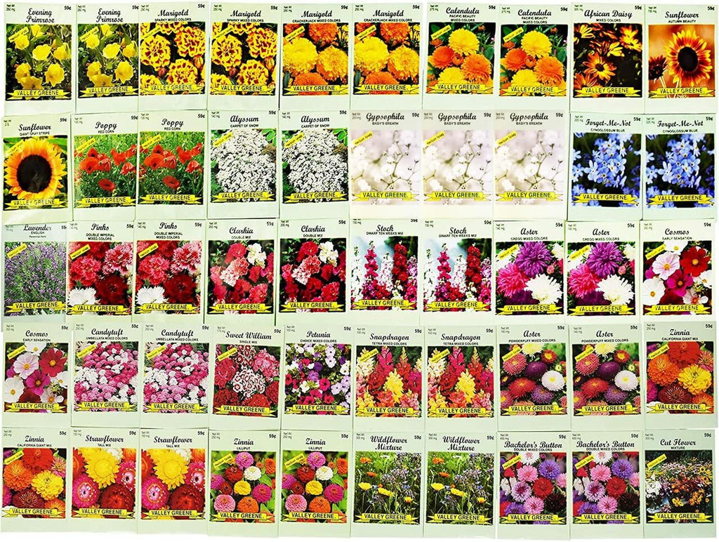 Set of 500 Flower Seed Packets - Flower Seeds in Bulk - 15 or More Varieties Available - Great for Creating Colorful