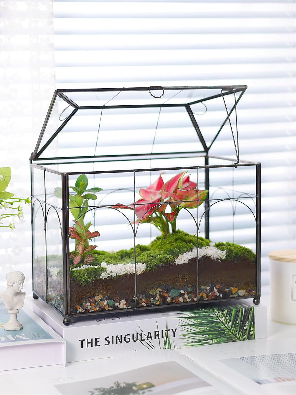REDHUGO Glass Planter Terrarium with Lid, Indoor Display Box, Black | Handmade Glass Terrarium with Lid for Succulents
