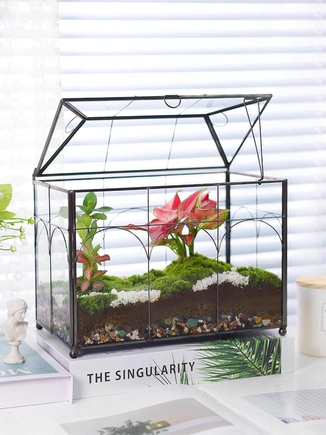 REDHUGO Glass Planter Terrarium with Lid, Indoor Display Box, Black | Handmade Glass Terrarium with Lid for Succulents