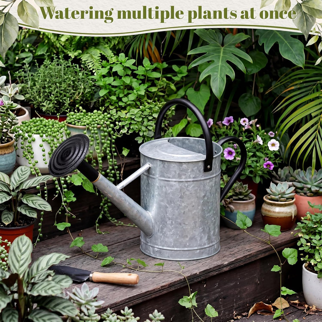 4 Pcs 1 Gallon Metal Watering Can for Indoor Outdoor Plants, Galvanized Garden Water Can with Long Spout and Dual