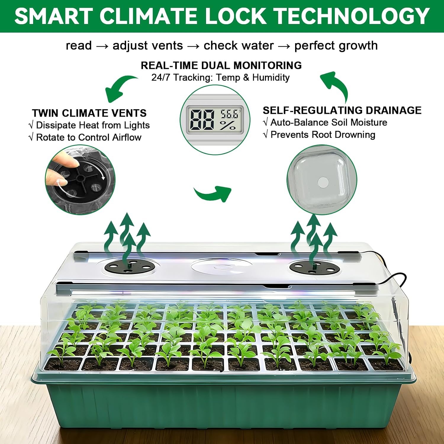 Seed Starter Tray with Grow Light,60-Cell Seedling Starter Kit with 4.07'' Humidity Dome,Plant Germination Trays for