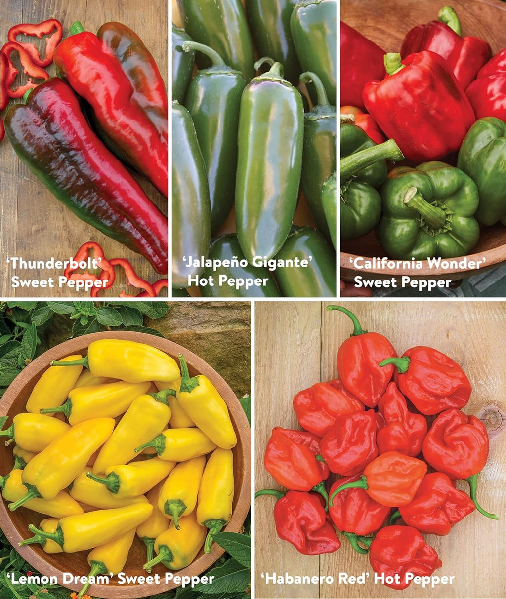 Burpee Best Collection | 10 Packets of Non-GMO Fresh Mix of Hot Pepper & Sweet Varieties | Jalapeno, Bell Pepper Seeds