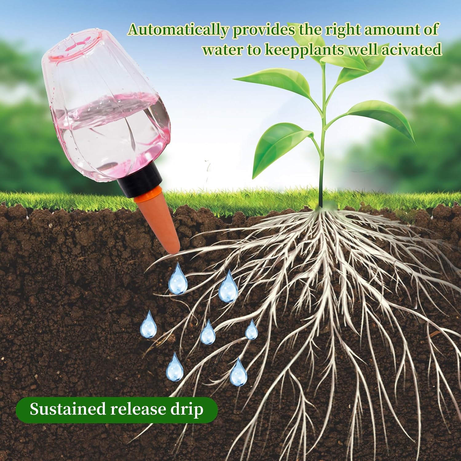 6pcs Plant Self Watering Globes, Plastic Water Bulbs Top Fill, 12.3 oz Plant Watering Devices System Slow Release