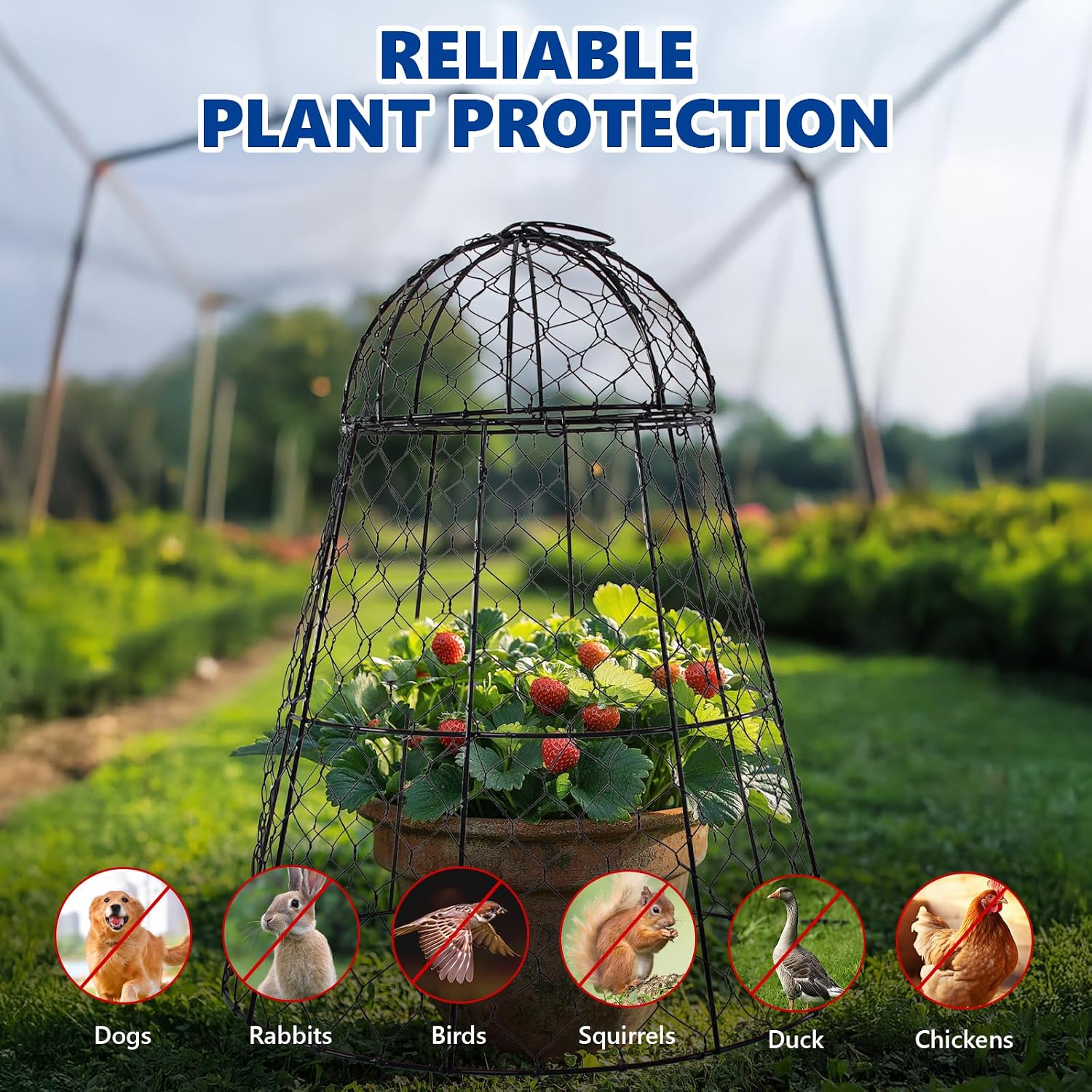 Garden Cloches for Plants - Set of 6 Chicken Wire Plant Cages and Plant Protectors from Animals, 17.7" H x 12.8" D
