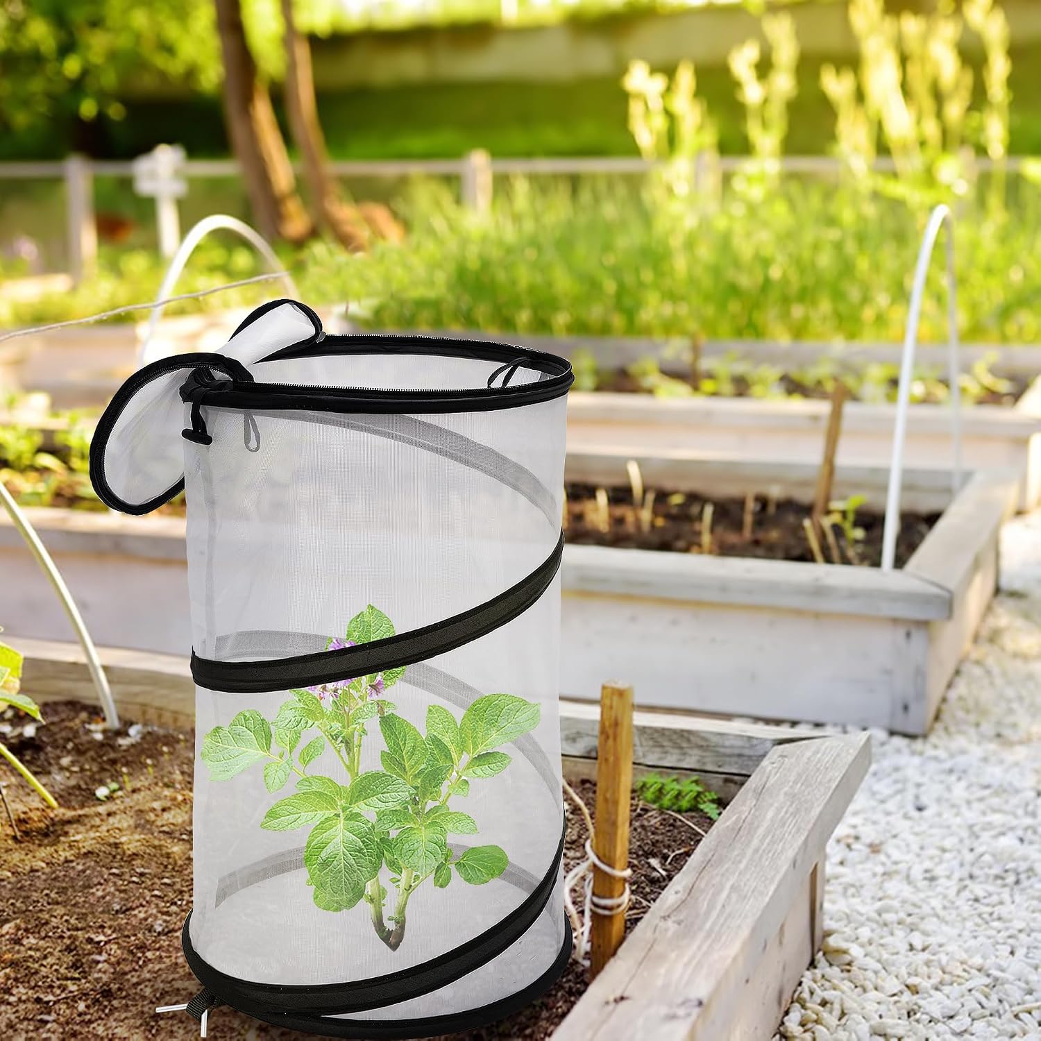 4 Pcs Pop Up Insect Barrier Plant Cover Net, 19.6" x 11.8" Round Foldable Plant Protectors Mesh Plant Enclosure, Garden