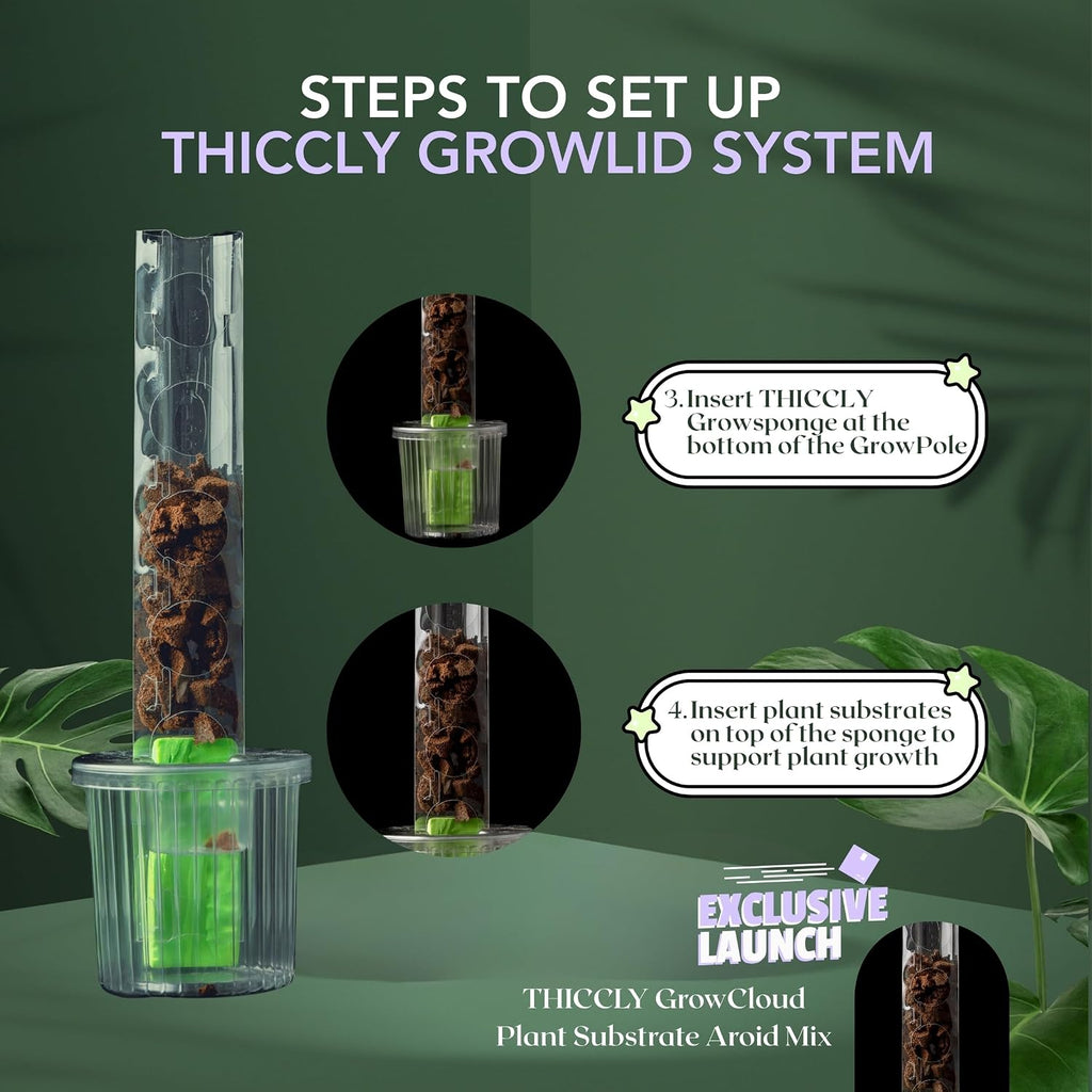THICCLY Small GrowLid 10 Pcs (Clear) - Self Watering Clear D-Shaped Plastic Moss Pole Hydroponics Growing System Kratky