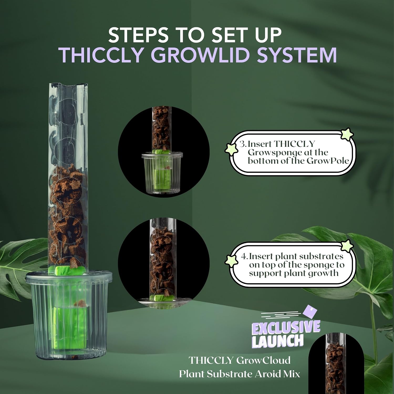THICCLY Small GrowLid 10 Pcs (Clear) - Self Watering Clear D-Shaped Plastic Moss Pole Hydroponics Growing System Kratky