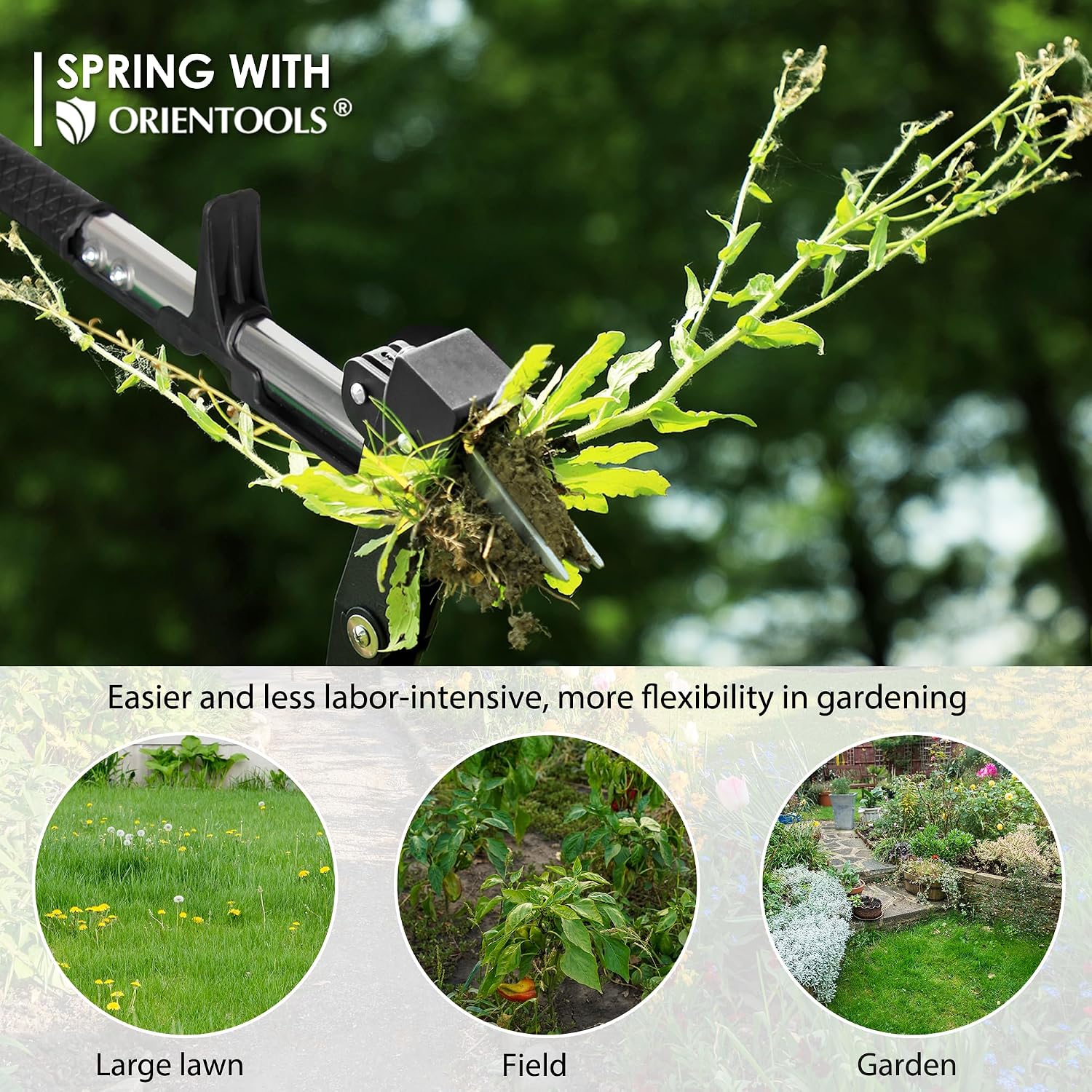 ORIENTOOLS Weed Puller, Stand Up Weed Puller, 32 to 41 inch Long Handle, Upgrade Detachable Telescopic Handle Garden