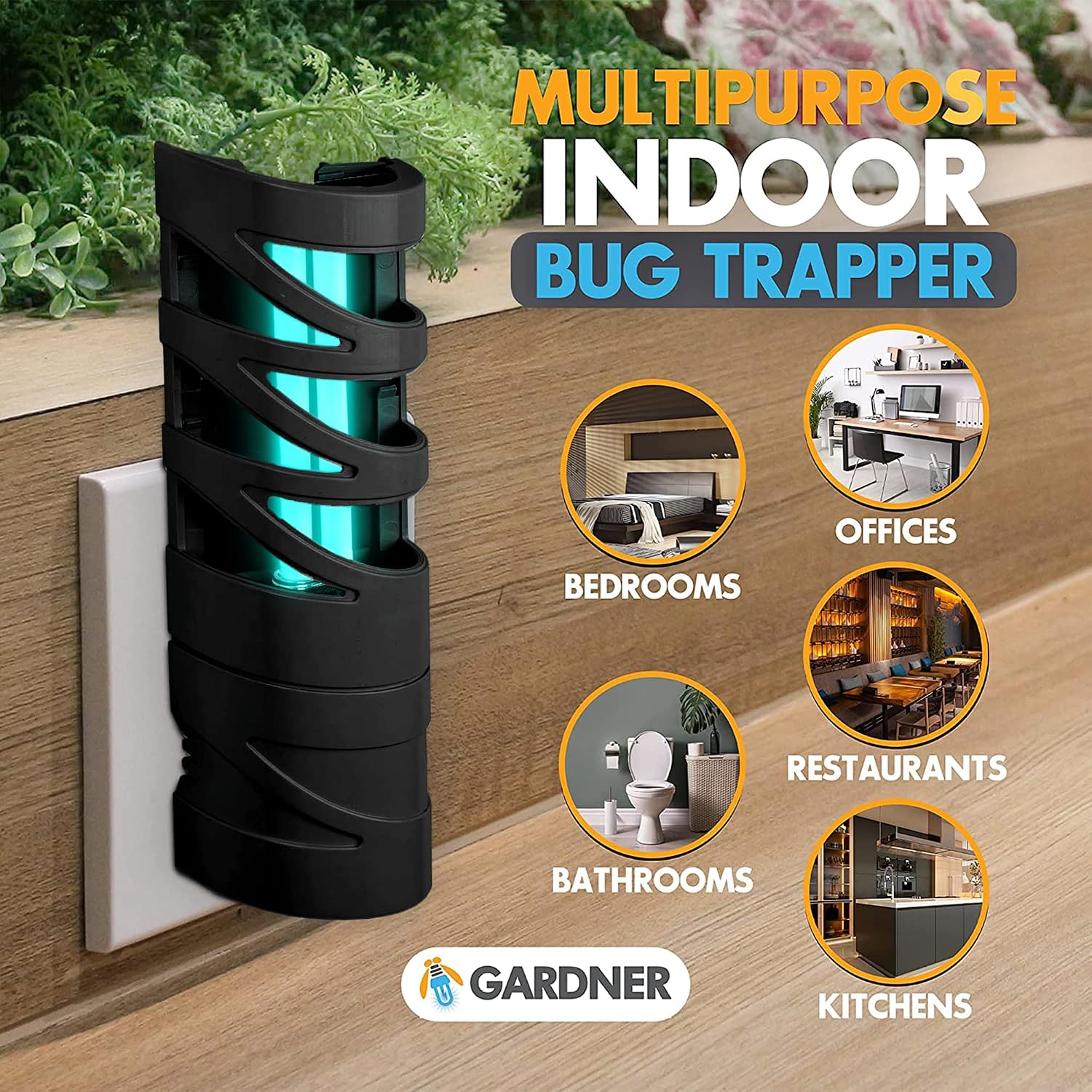 FlyWeb - Fruit Fly Traps for Indoors, Gnat Traps for House Indoor - Made in USA, Fruit Fly Killer, Non Bug Zapper