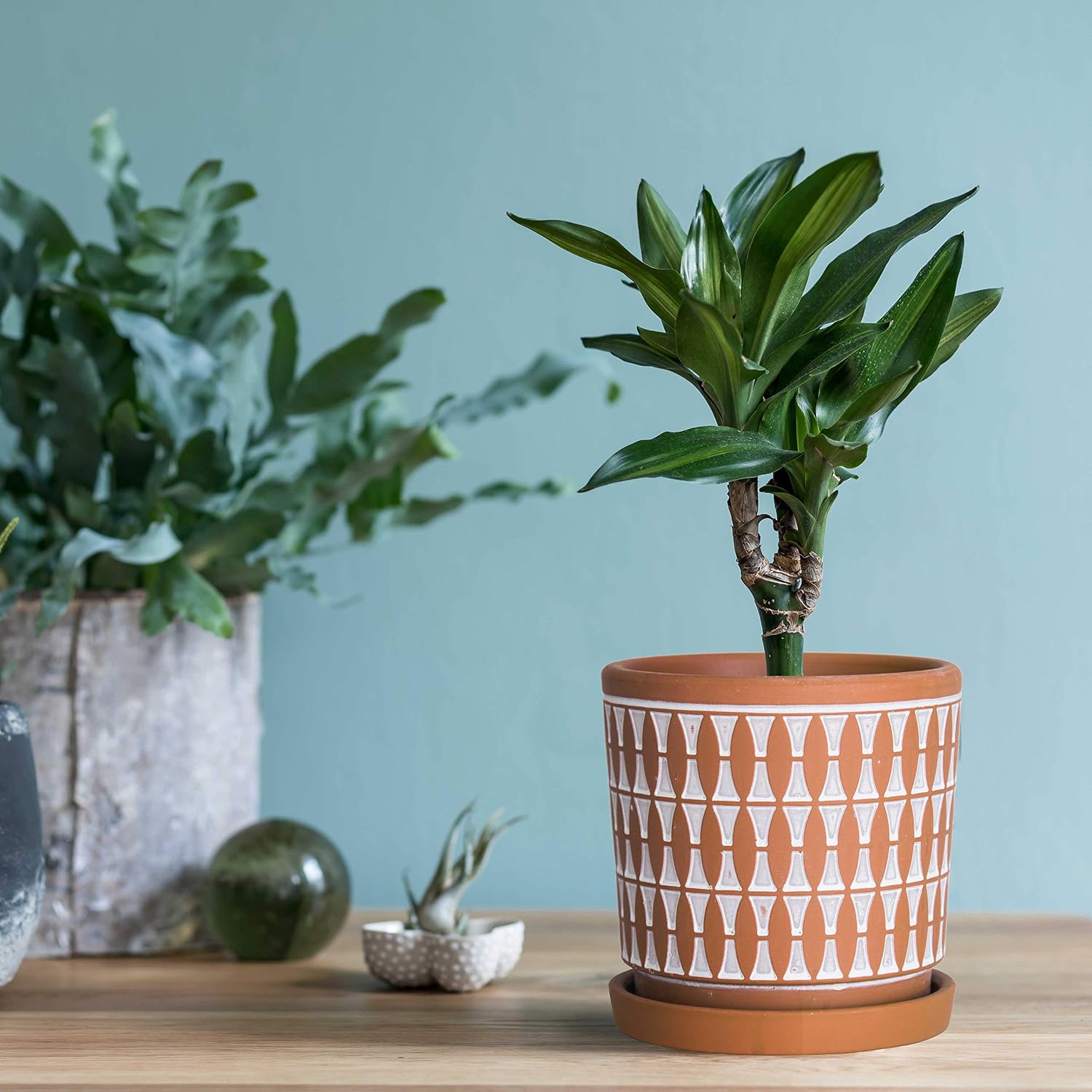 D'vine Dev 2-Pack Terracotta Pots, 4/6 in, Red/White, 31-958-B-1 | Hand-Painted Pattern, Natural Clay Texture, Artisan