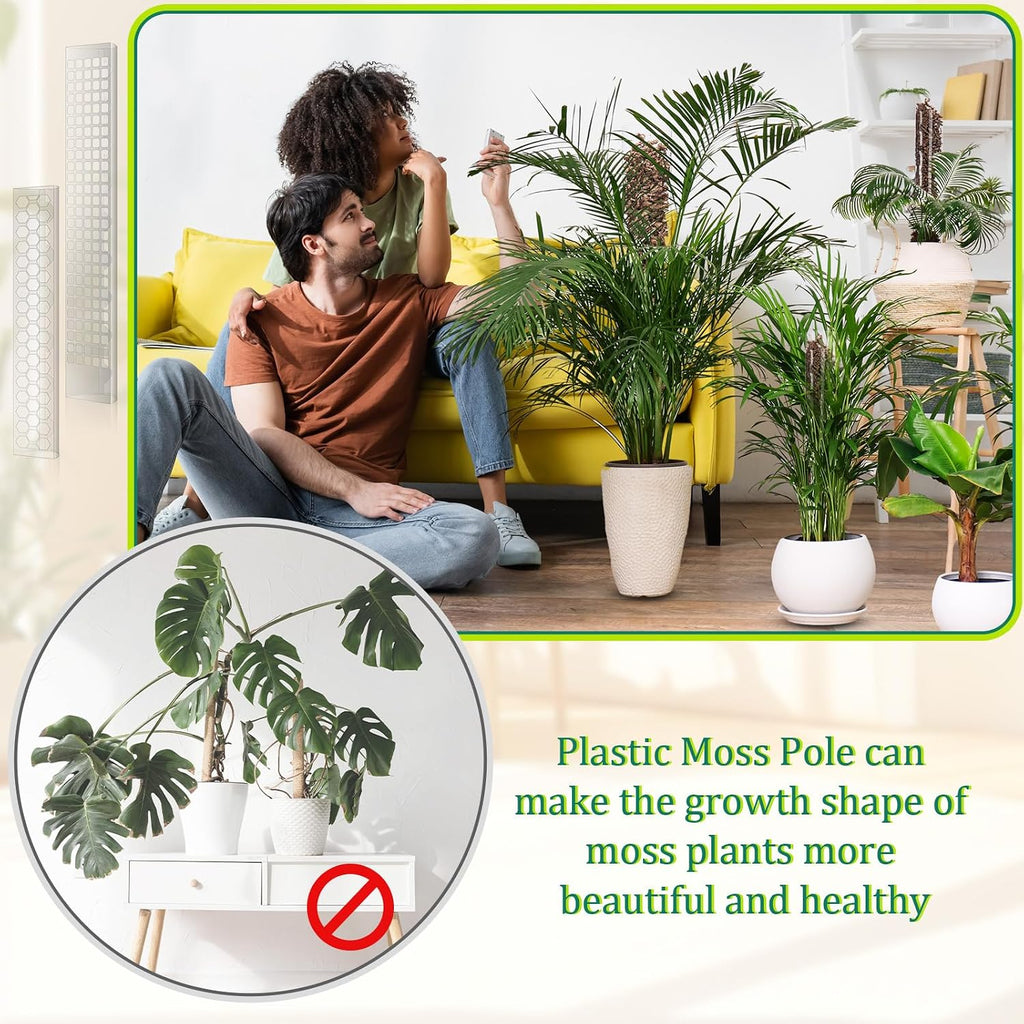 10 Pieces Plastic Moss Pole for Monstera Including 4 Pcs 24 Inch Clear Plant Poles for Indoor Climbing and 6 Pcs 15