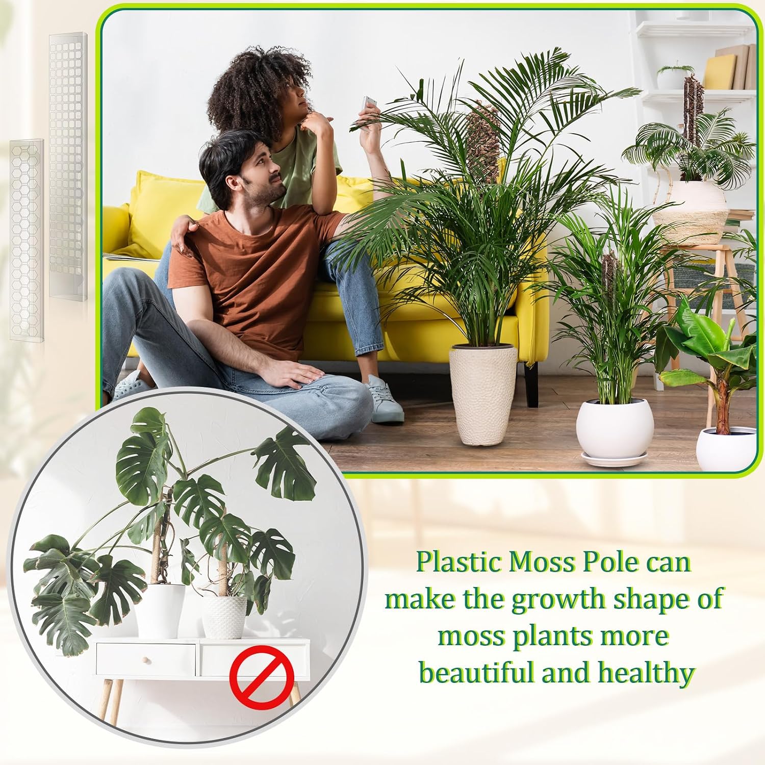 10 Pieces Plastic Moss Pole for Monstera Including 4 Pcs 24 Inch Clear Plant Poles for Indoor Climbing and 6 Pcs 15