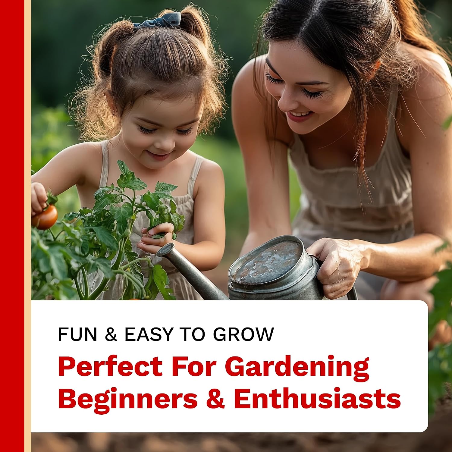 The Harvest Company Pizza Garden Seed Collection – Open-Pollinated Seeds for Indoor & Outdoor Gardening, Tomatoes