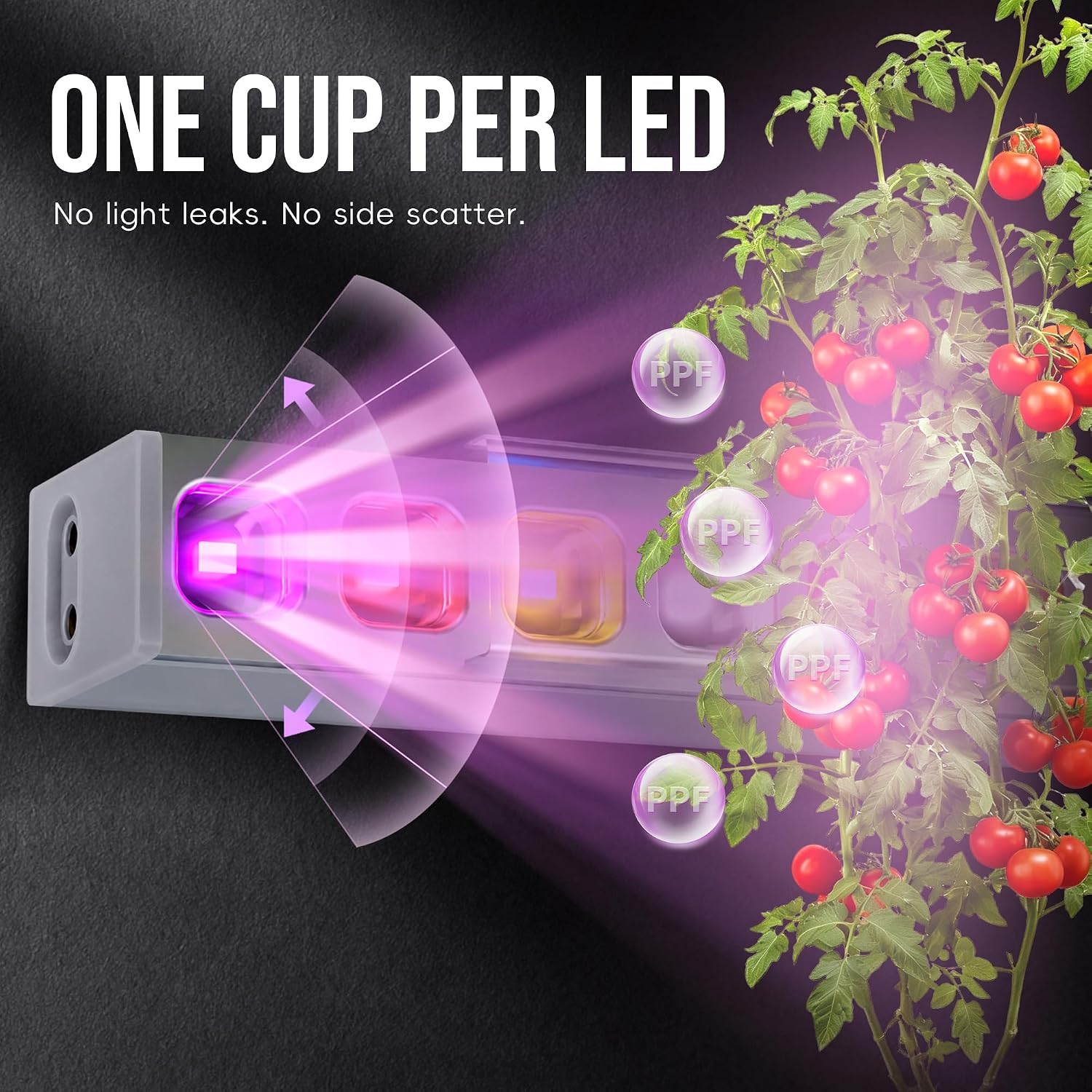 KingLED Grow Lights for Indoor Plants, Natural-Like 5000K Full Spectrum Plant Lights for Indoor Growing, 48W(4 X 12W)