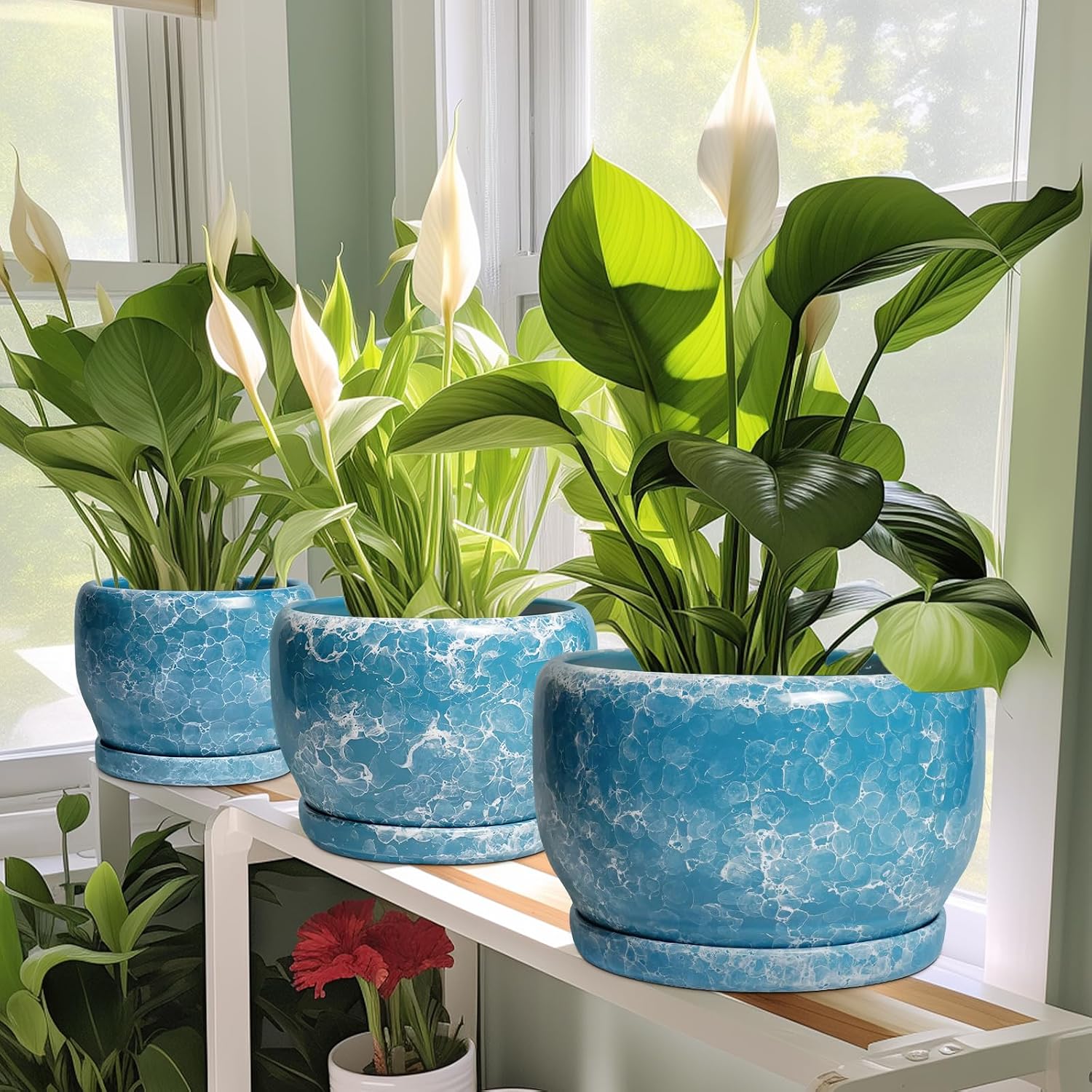SQOWL Ceramic Pots for Plants - 8 Inch Ceramic Planter for Indoor Outdoor, Decorative Flower Pot with Drainage Hole and