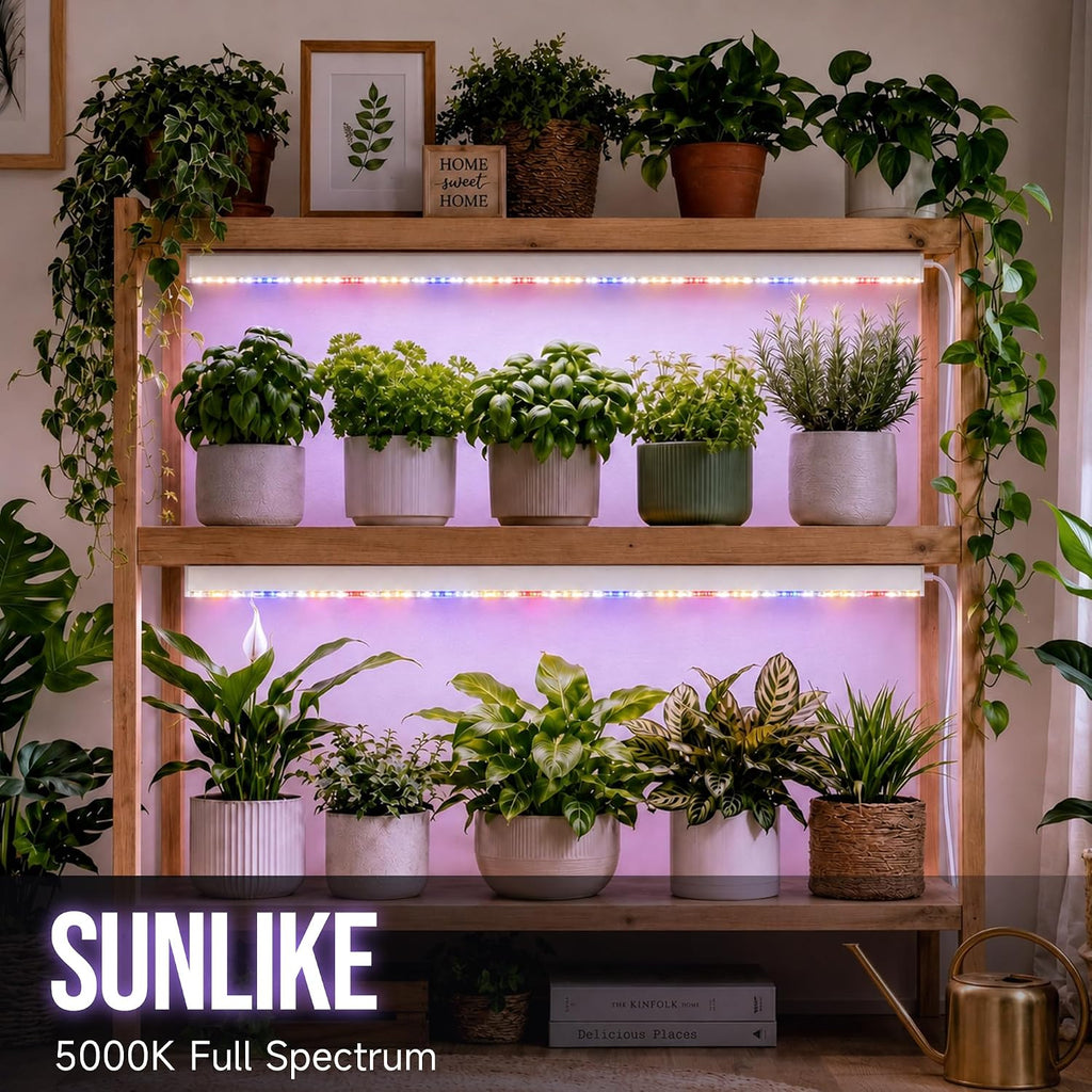 KingLED Grow Lights for Indoor Plants, Natural-Like 5000K Full Spectrum Plant Lights for Indoor Growing, 48W(4 X 12W)