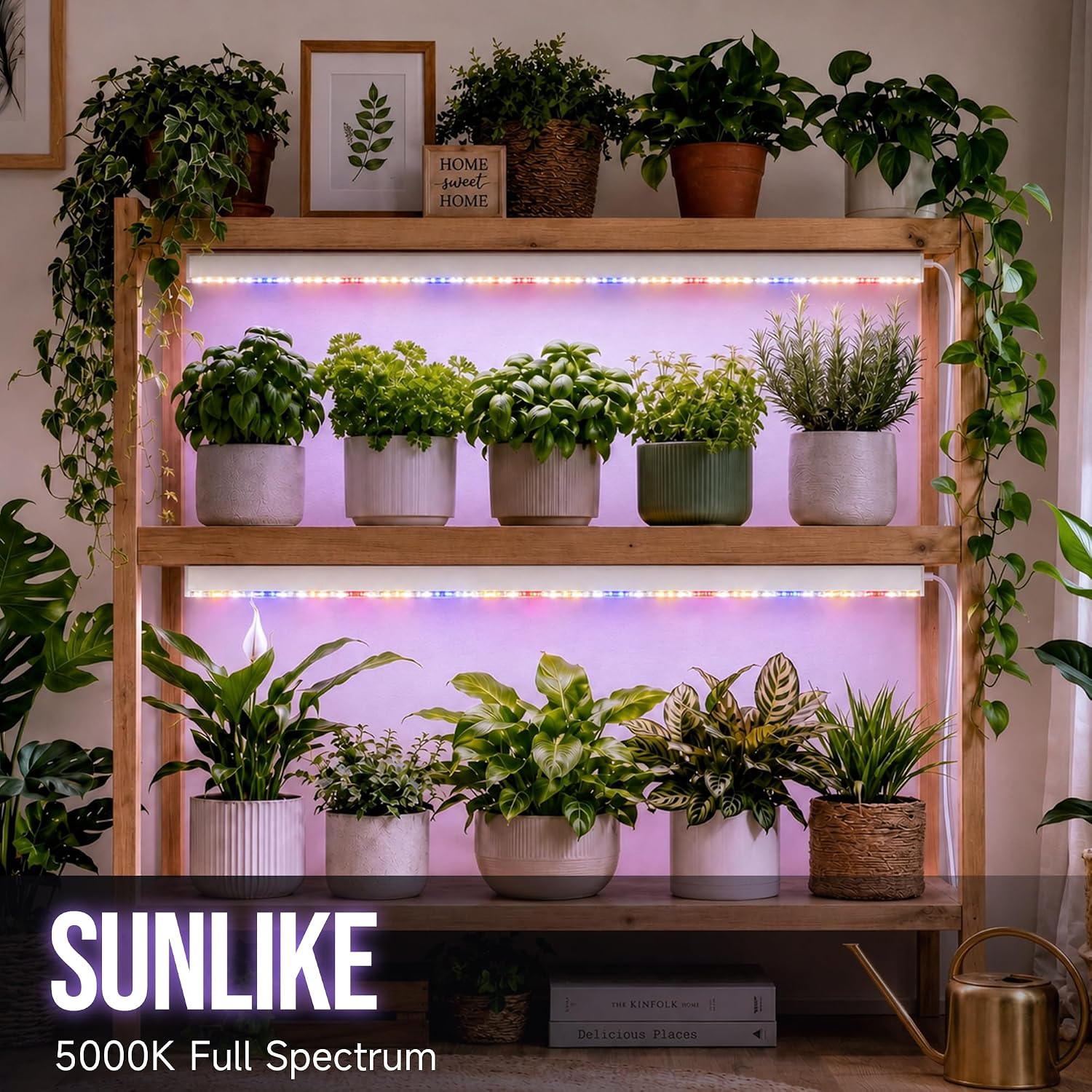 KingLED Grow Lights for Indoor Plants, Natural-Like 5000K Full Spectrum Plant Lights for Indoor Growing, 48W(4 X 12W)
