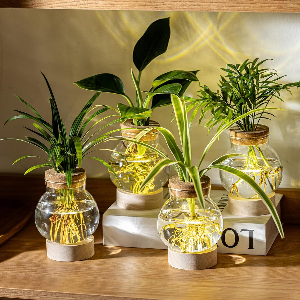 Propagation Stations, Plant Propagation Station with Light Base, Glass Propagation Vases, Hydroponic Vase for Plants
