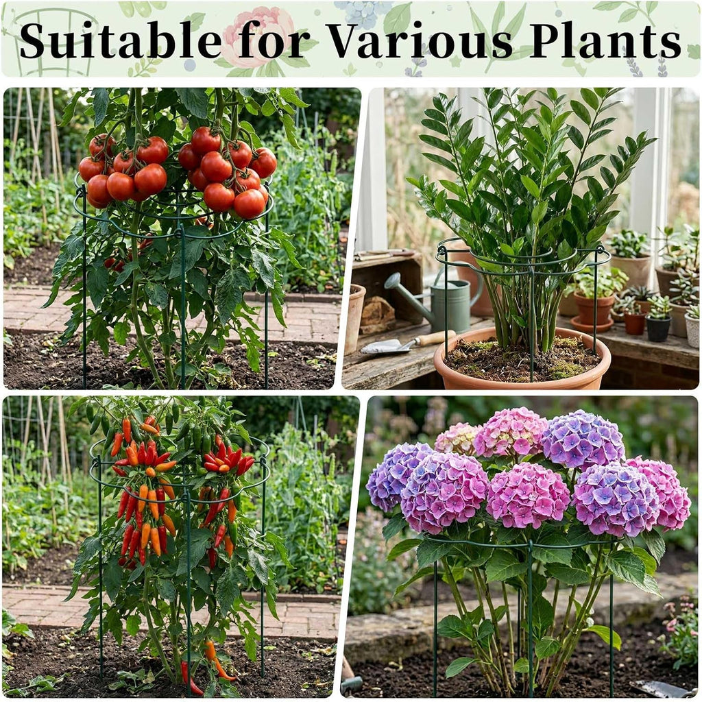 6-Pack Peony Cages and Supports, 12"x16" Plant Support Rings | Heavy-Duty Grow-Through Plant Support for Peonies
