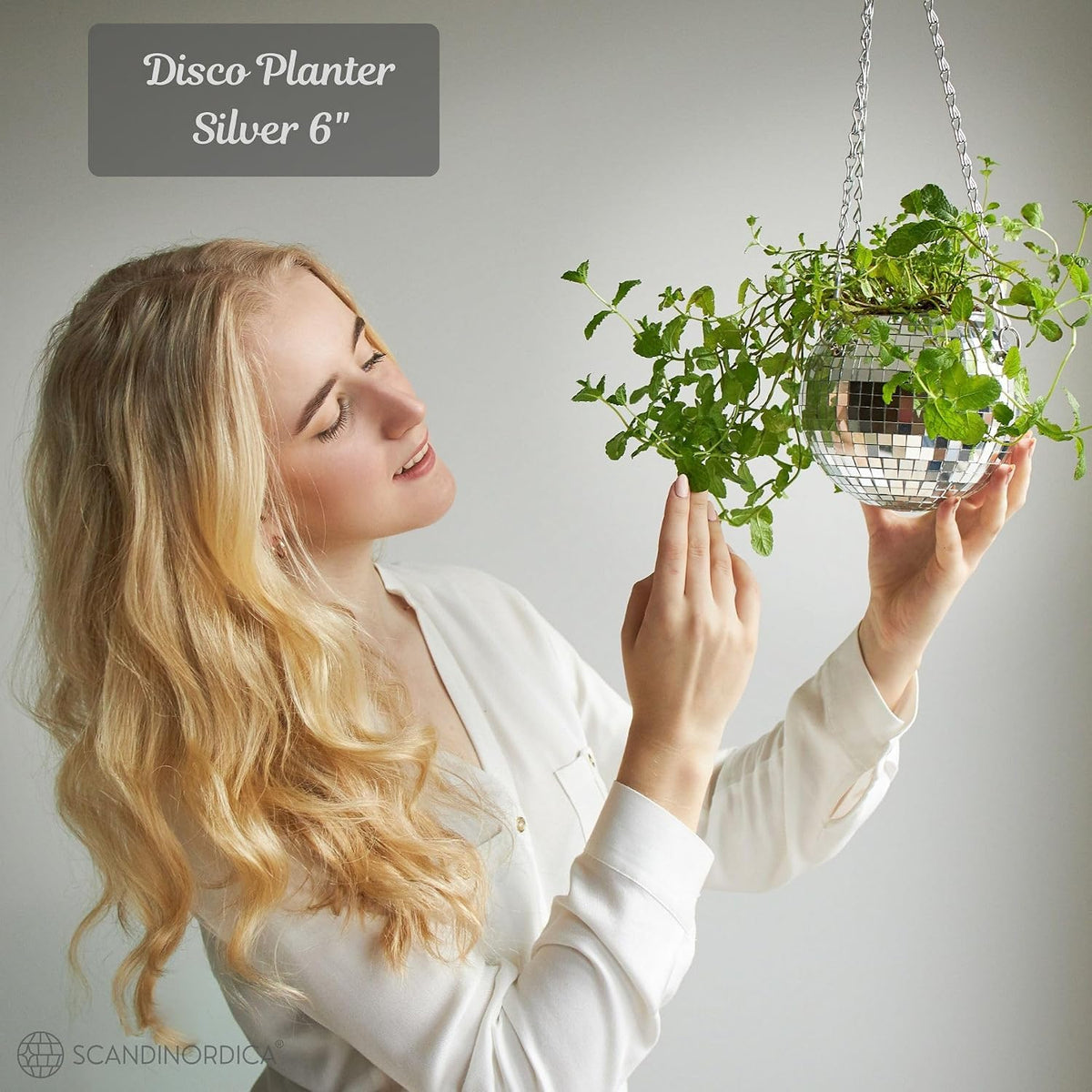 Disco Ball Planter – Value Package: Disco Pot with Chain, Macrame Hanger, Acrylic Stand and Self Watering Insert | 6