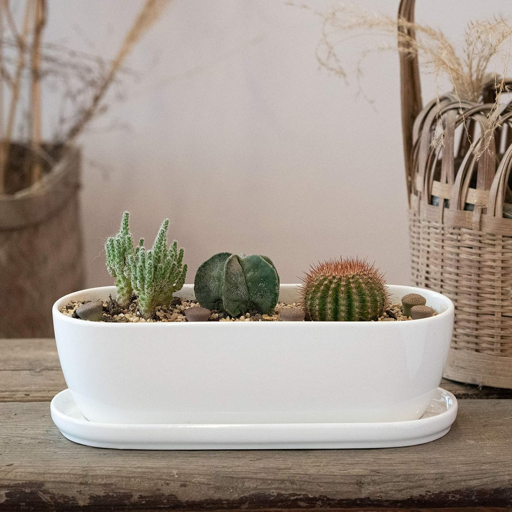 E-liu 11 Inch Oval Ceramic Planter Pot with Drainage Hole Saucers | Rectangular Succulents Planter Home Decor for