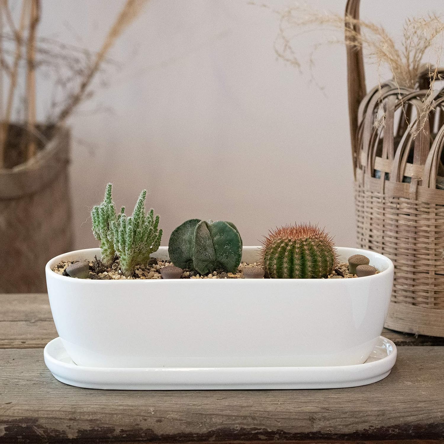 E-liu 11 Inch Oval Ceramic Planter Pot with Drainage Hole Saucers | Rectangular Succulents Planter Home Decor for