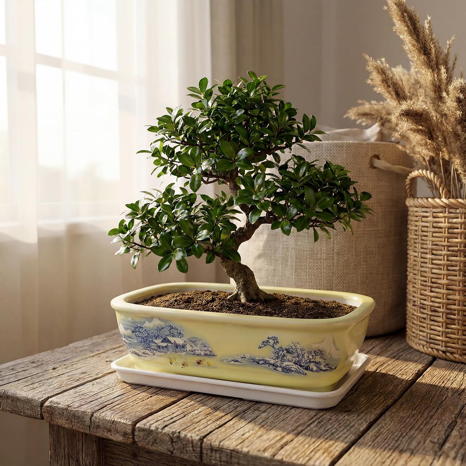 8" Bonsai Pots with Tray, Rectangular Planter in Blue & White | 8" glazed ceramic bonsai pots with tray, large shallow