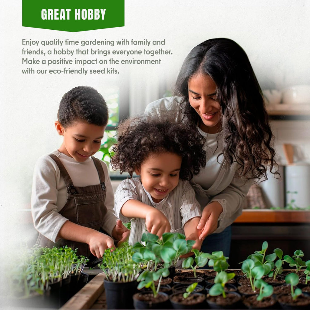 20 Vegetable + 15 Lettuce & Salad Greens + 15 Medicinal Herb Seeds Variety Pack Bundle 14150+ Non-GMO Heirloom Garden