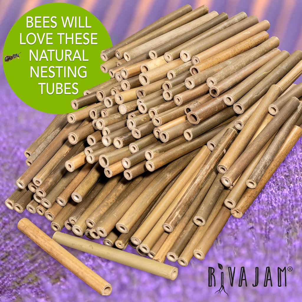 Rivajam 125 Bamboo Sticks for Crafts Supplies | Bamboo Craft Sticks & Mason Bee Tubes for Mason Bee House | Bamboo Reed