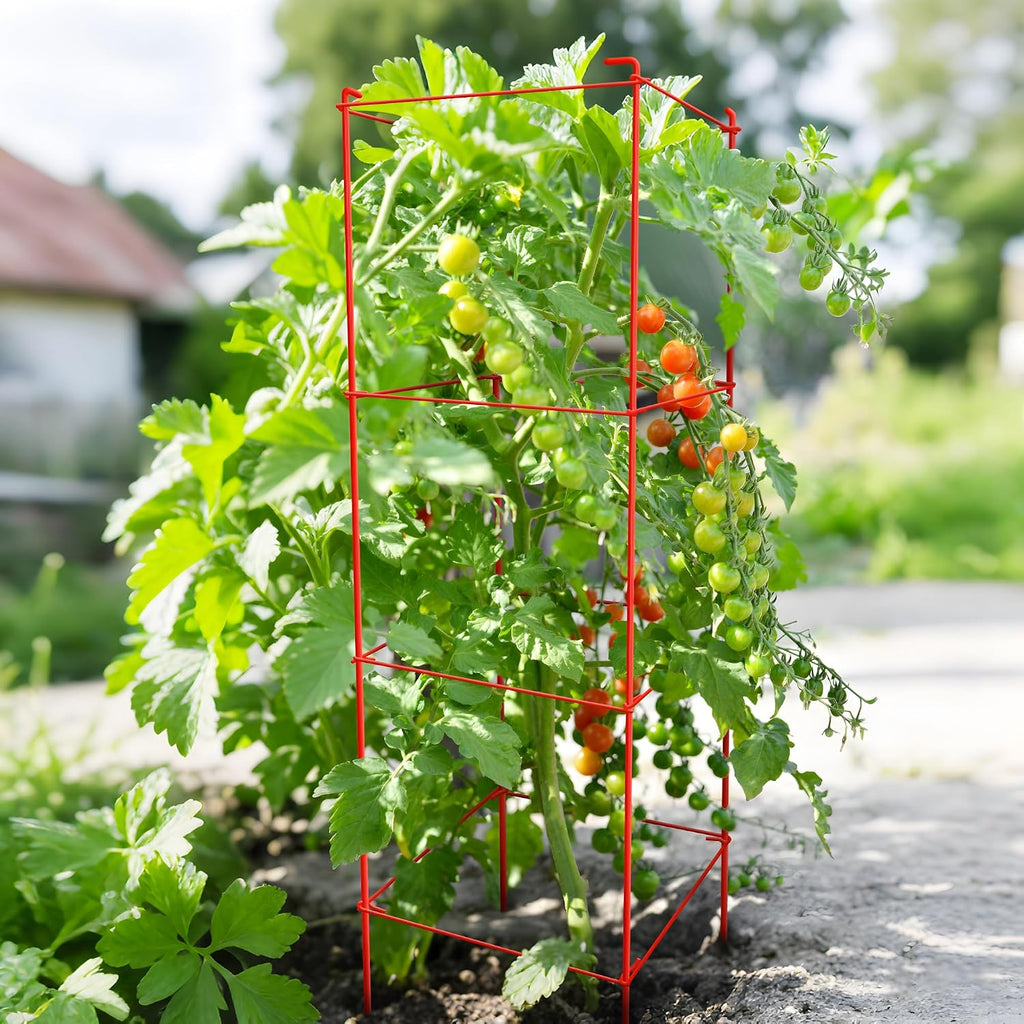 6-Pack Tomato Cage for Garden Plant Support- Up to 46inch | Garden Stakes Tomato Cage,Tomato Trellis for Potted Plants