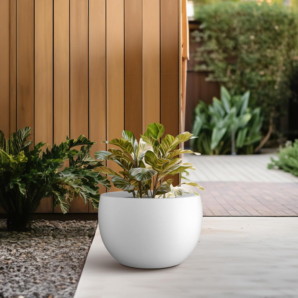 Kante Small Round Bowl White Concrete Planter 11.8" Dia, Outdoor | Rubber Plug for Indoor, Drainage for Garden