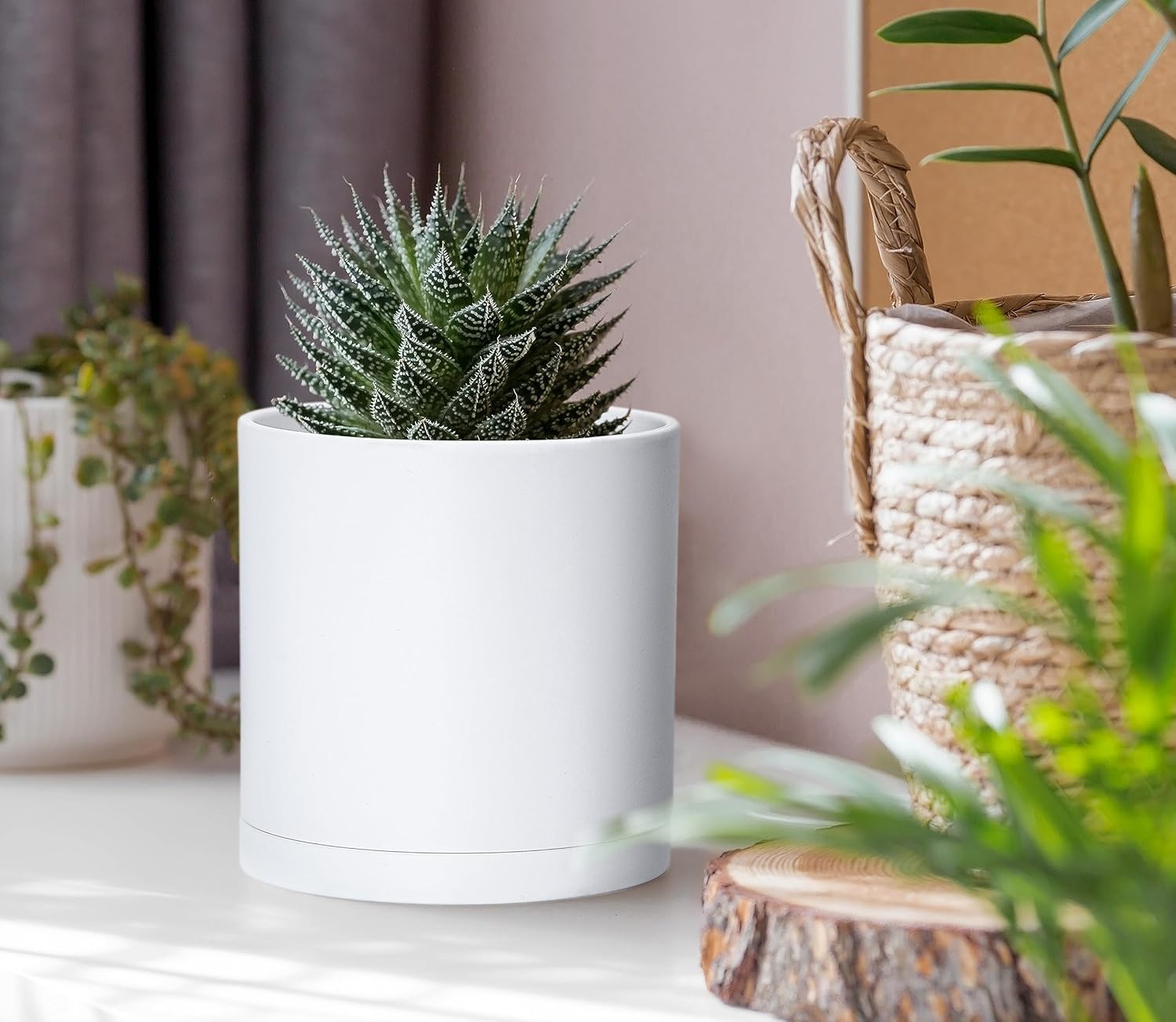 D'vine Dev 4-Pack White Plastic Planters with Saucers, 4 in, 74-Z-E-2 | Lightweight Durable Build, Matte Finish