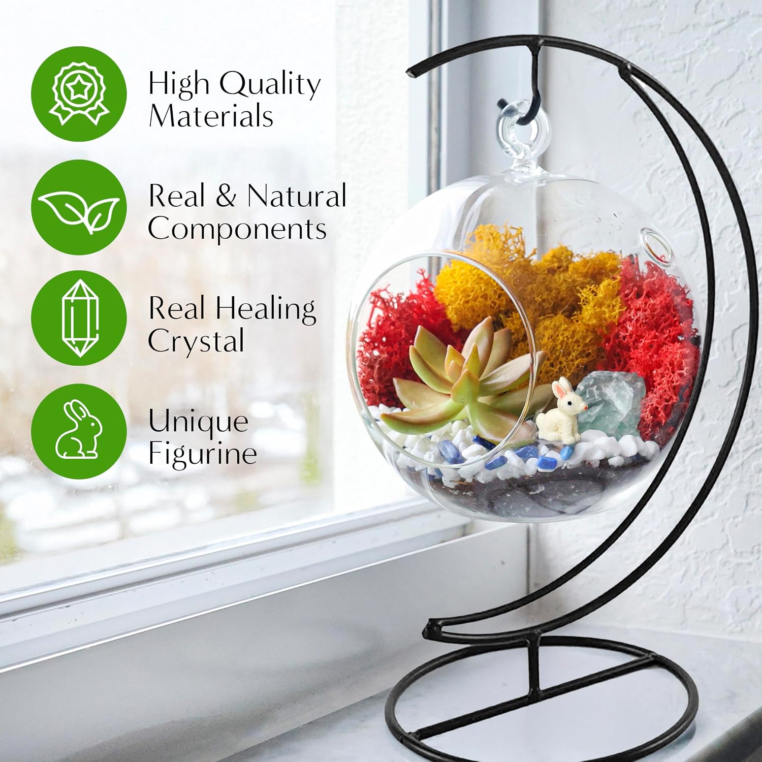 Creations by Nathalie - 5" Glass Globe Succulent Terrarium Kit, Hanging DIY Starter Kit for Kids and Adult, Metal