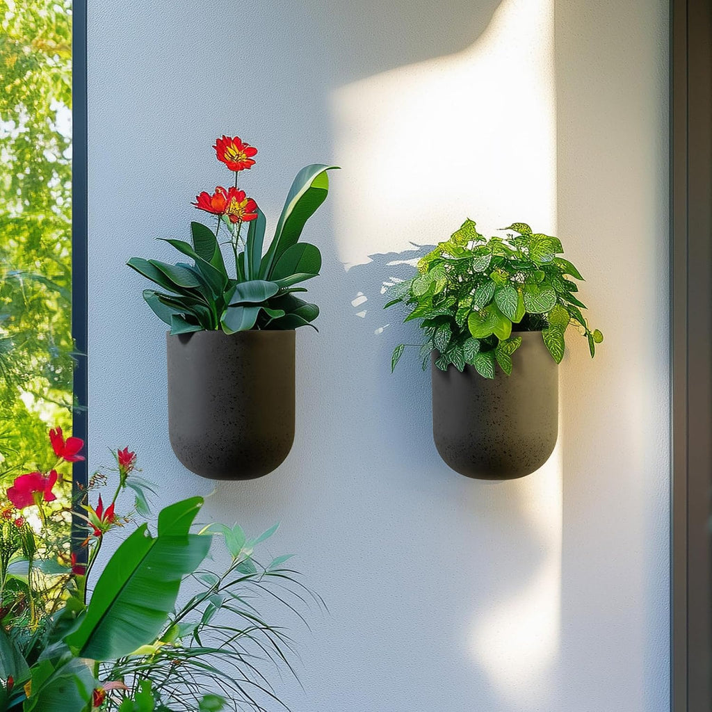 LA Jolie Muse Wall Hanging Planters for Indoor Plants，Hanging Flower Pots for Air Plants Succulent, Set of 2