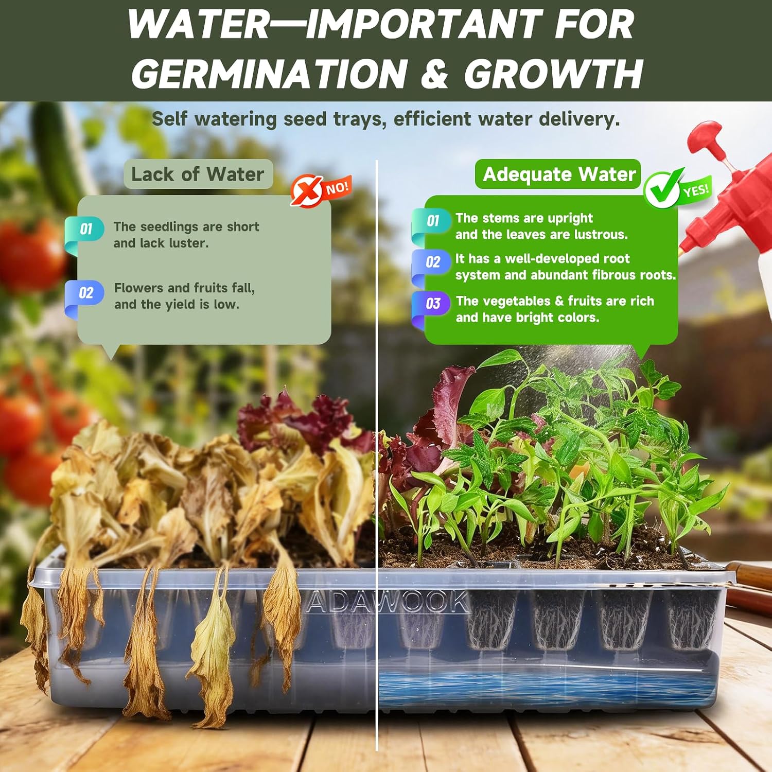 Adawook Self-Watering Seed Starter Tray, Seed Starter Kit Self Water, Germination Trays for Seed Starting with High