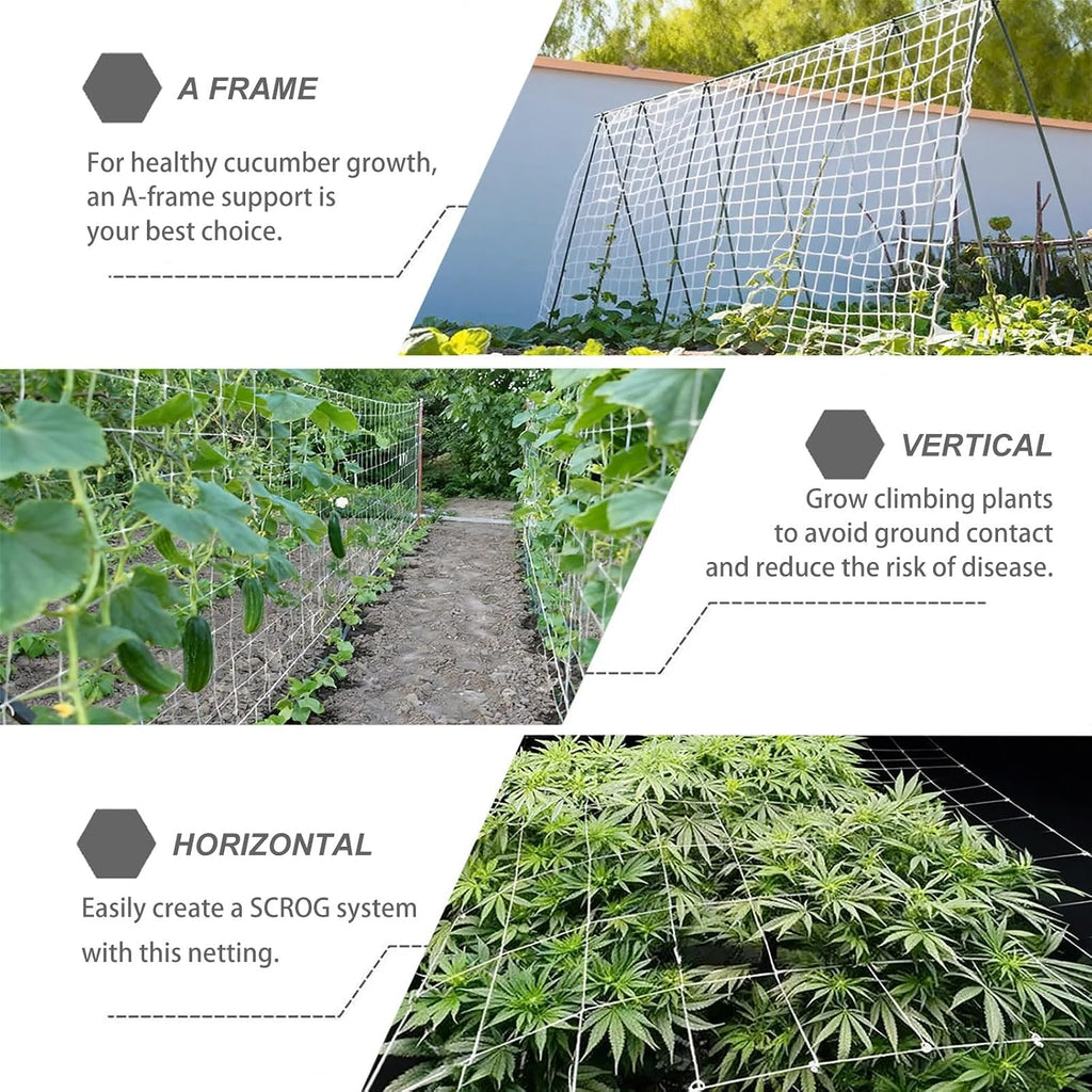 Trellis Netting 5 x 350 ft, Heavy Duty Reinforced Polyester, 6x6 inch Mesh, Soft Garden Netting for Climbing Plants
