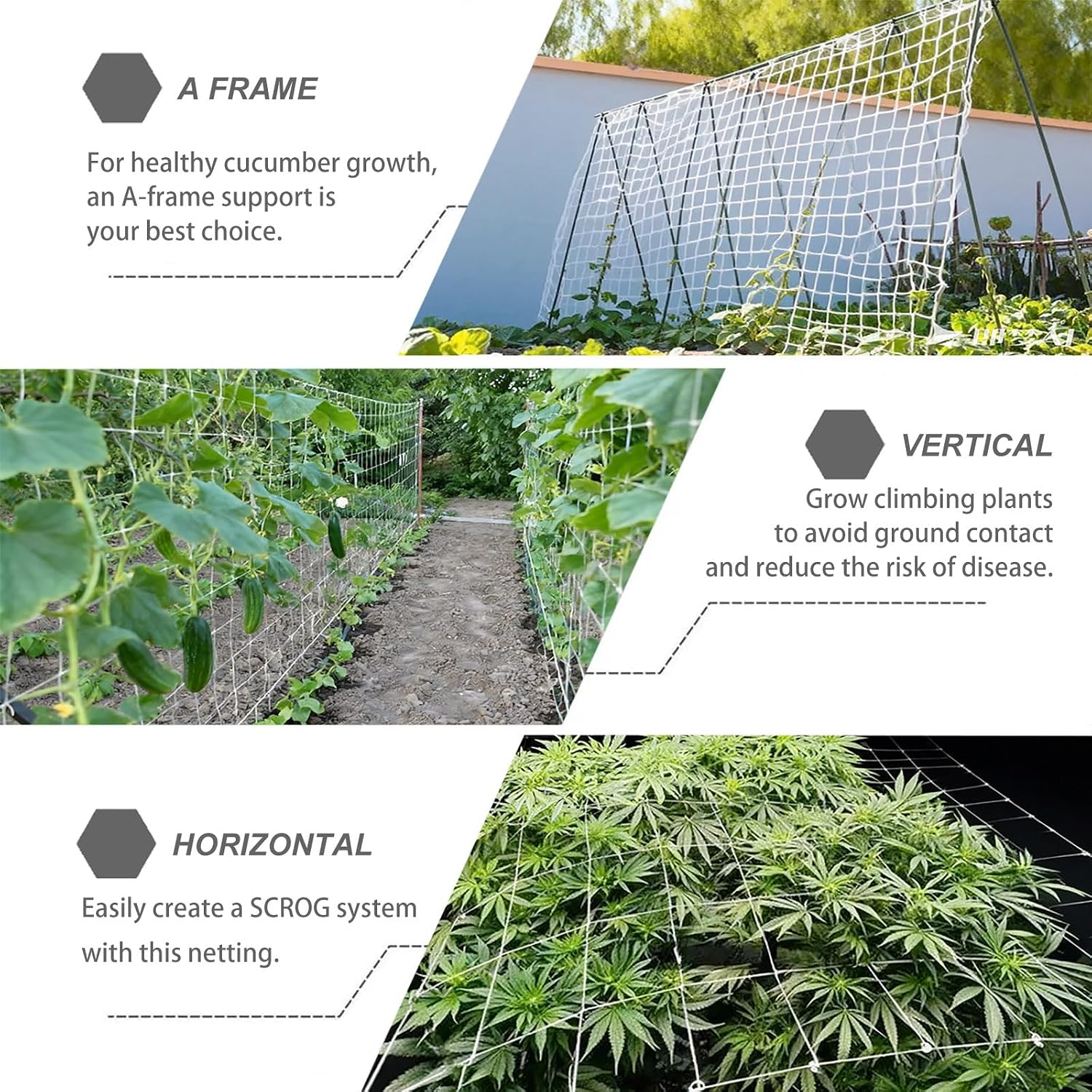 Trellis Netting 5 x 350 ft, Heavy Duty Reinforced Polyester, 6x6 inch Mesh, Soft Garden Netting for Climbing Plants