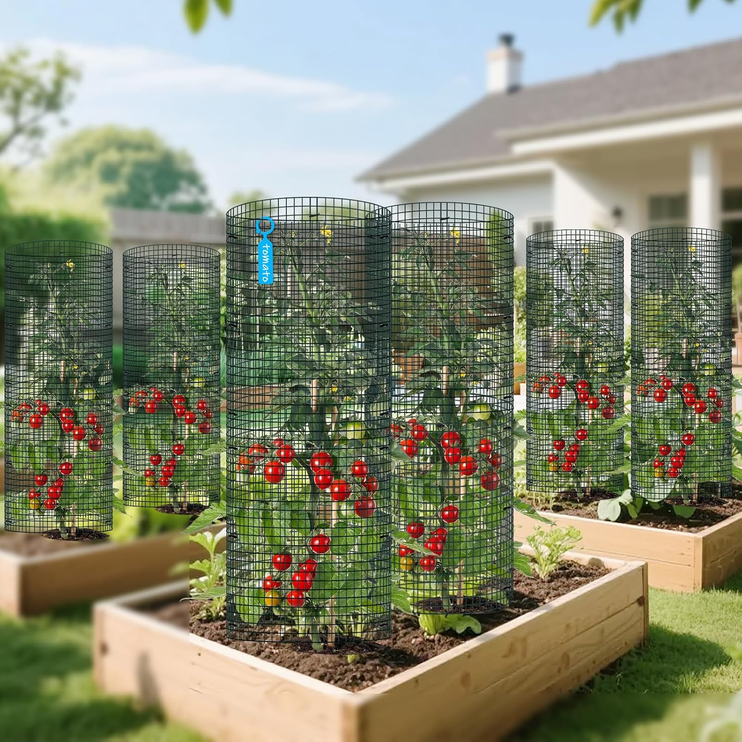 5 Pack Wire Plant Protector, 16"x12" Detachable Metal Plant Protectors Mesh, Garden Plant Protectors for Shrubs Flowers