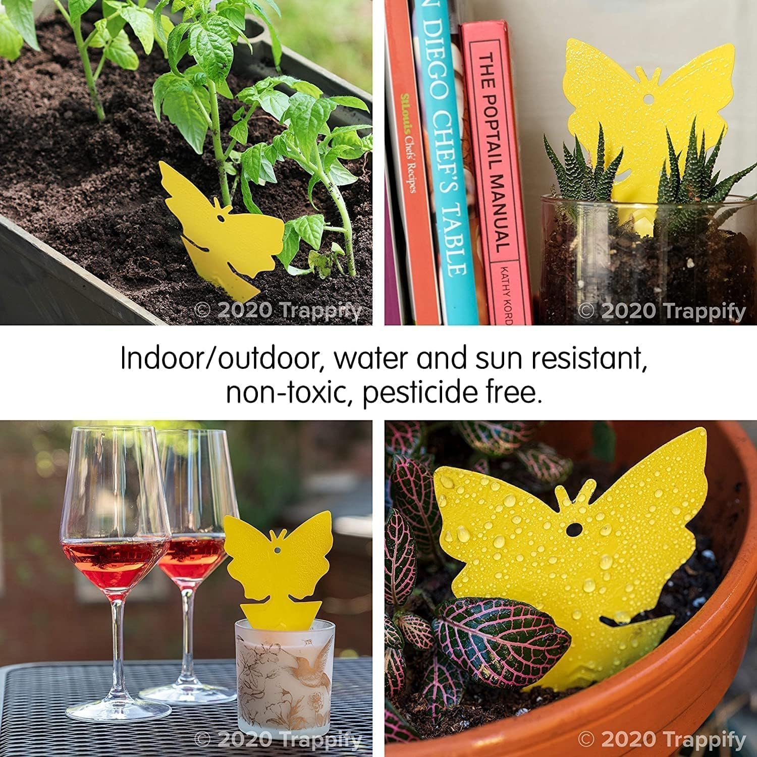 Trappify Gnat Traps for House Indoor and Outdoor | Fruit Fly Trap 100 Pack | Yellow color draws gnats to double-sided