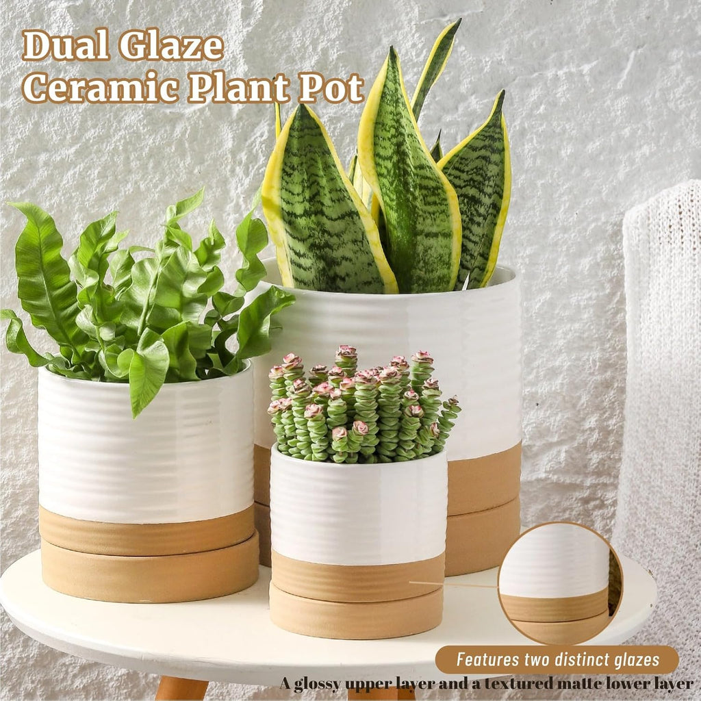 HASENSE Ceramic Plant Pots with Saucers Set of 3, 8+6+4.6 Inch Planters for Indoor Plants with Drainage Holes,Two-Tone