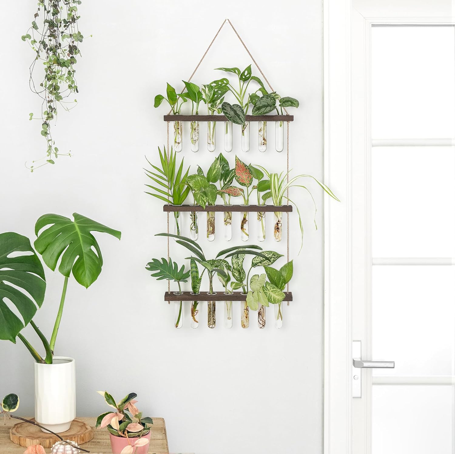 Mkono Plant Propagation Station, 3 Tier Large Brown Wall Hanging Vase Tubes | Glass Terrarium Planter,Wooden Stand,for